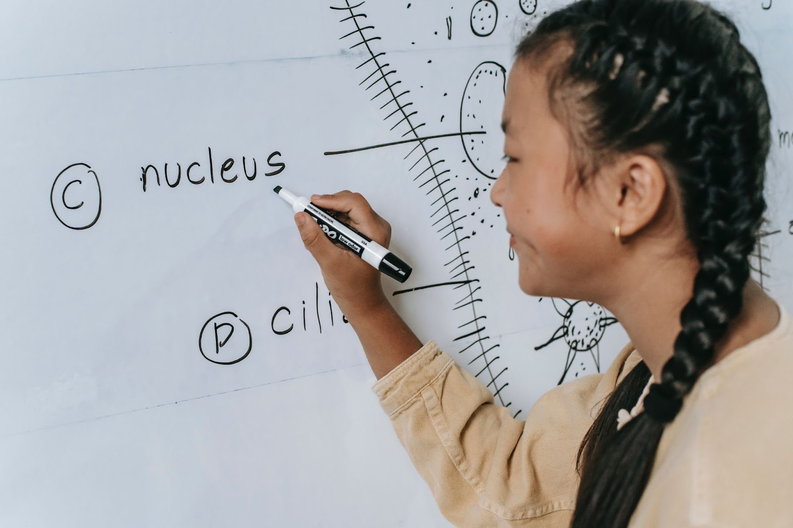 student writing on whiteboard